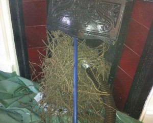 A fire place full of nest