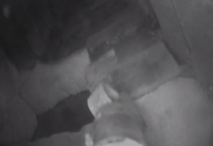 showing a hole in the flue wall