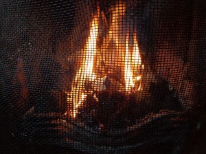 fire guard is now in front of the fire
