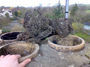 On a top of a chimney ball of fouled chicken wire