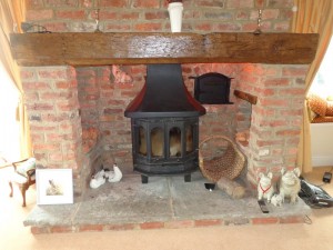 modern appliance set into a inglenook fireplace