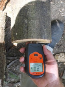 40% moisture reading using a moisture meter